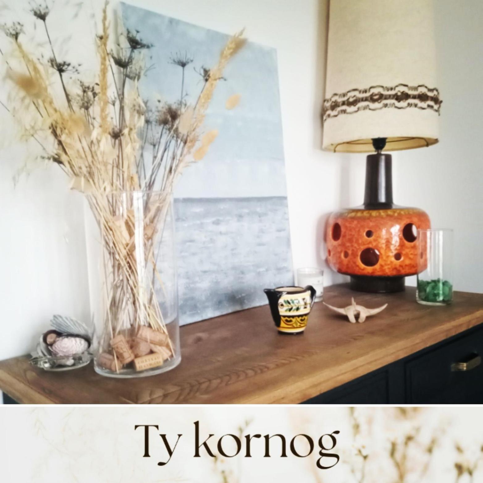 Maison De Vacances Ty Kornog ปง-ตาเวน ภายนอก รูปภาพ
